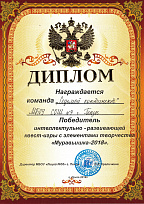 Диплом победителя интеллектуально-развивающей квест-игры с элементами творчества «Муравьишка-2018»